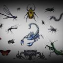 45 animals Doc Kent Kent Tattoo