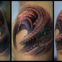 TATTOO BIORGANIC BY KENT KENT