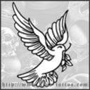 Kasih karunia dan keindahan burung merpati