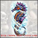 Kuda Laut
