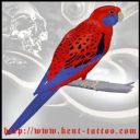 Tatto Burung