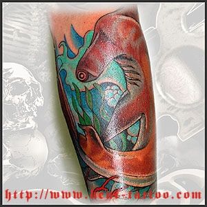 HAMMERHEAD SHARK